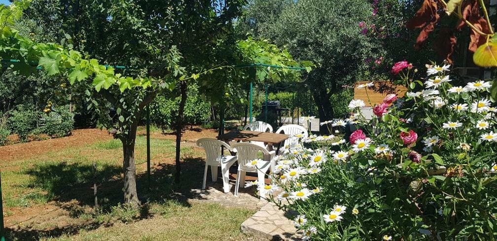 Appartamenti Clara Porec Esterno foto